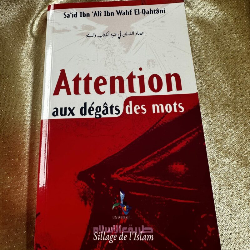 ATTENTION AUX DÉGÂTS DES MOTS - EDITION UNIVERSEL
