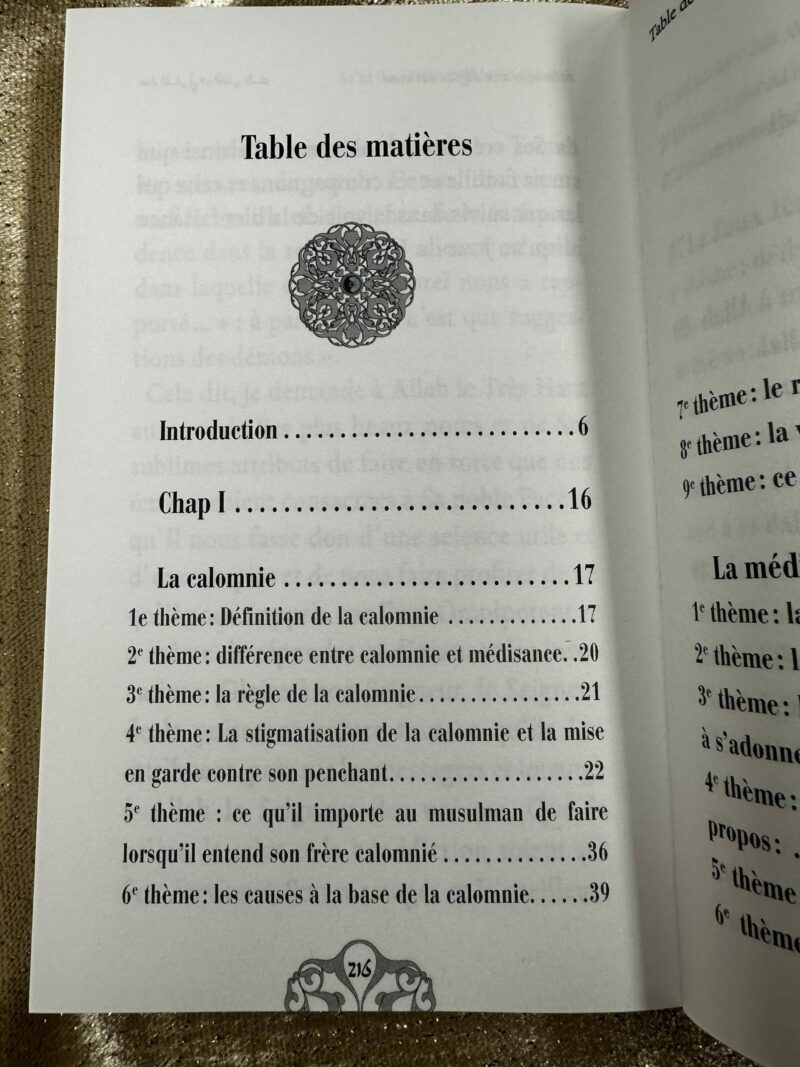 ATTENTION AUX DÉGÂTS DES MOTS - EDITION UNIVERSEL