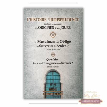 L'histoire de la jurisprudence expliqué par les savants des origines à nos jours - Éditions Le Droit Chemin